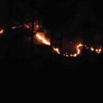 बारिश ने होने के कारण सर्द मौसम में भी जंगलों में लगी भयानक आग