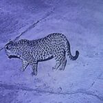 ग्रामीण के घर में घुसा गुलदार,  शोर मचाकर घरवालों ने बचाई जान