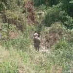 देहलचौरी क्षेत्र में अनियंत्रित होकर खाई में गिरी कार, महिला की  मौत, चार अन्य घायल