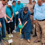 *हरित हरिद्वार अभियान के तहत जनपद में व्यापक वृक्षारोपण, 15 हजार से अधिक पौधे रोपे गए*
