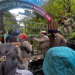 पर्यटकों के लिए खुली विश्व प्रसिद्ध फूलों की घाटी राष्ट्रीय उद्यान