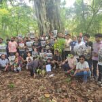 ऋषिकेश मार्ग पर अब नहीं कटेंगे 3000 पेड़, केन्द्र से बात करने के बाद सीएम धामी ने लिया फैसला