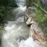 घास लेने गई महिला का पैर फिसलने के बाद उफनते गदेरे में बही , रेस्क्यू टीम ने किया शव बरामद