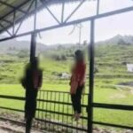 छात्र और छात्रा का शव फंदे से लटका मिलने से पूरे इलाके में हड़कंप
